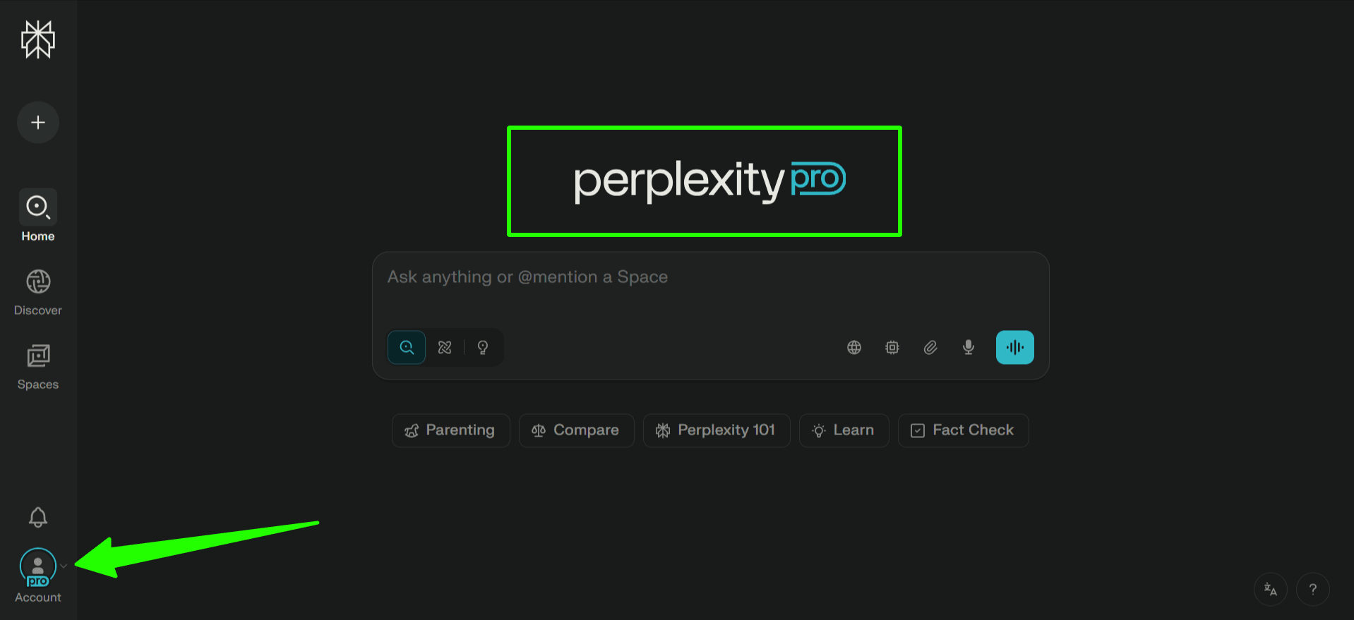Perplexity Pro
